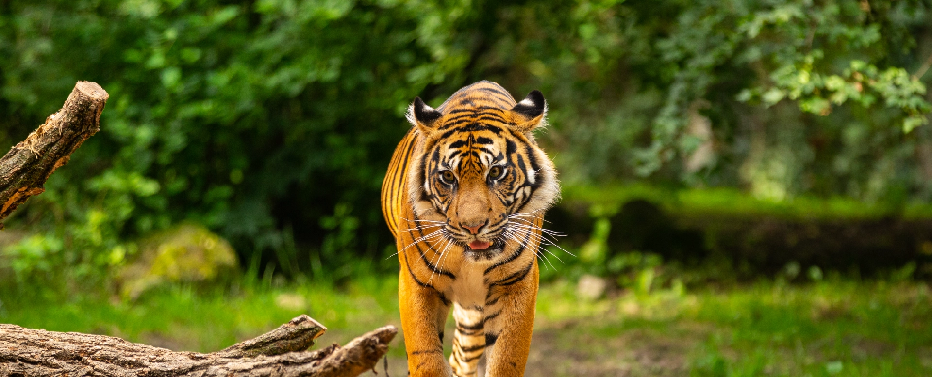 Karma Sitabani, Corbett National Park
